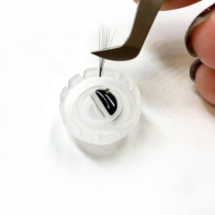 Glue Wells-Glue Wells-Lash Tribe