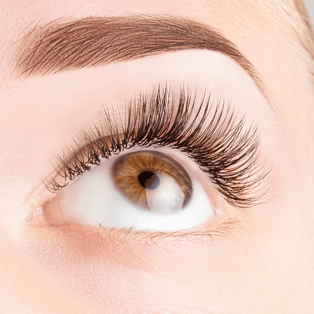 A close up of a woman's eye with long lashes from the Lash Tribe 0.12 Classic Lashes | Mixed Tray | Premium Silk Lashes | Ultra Black collection.