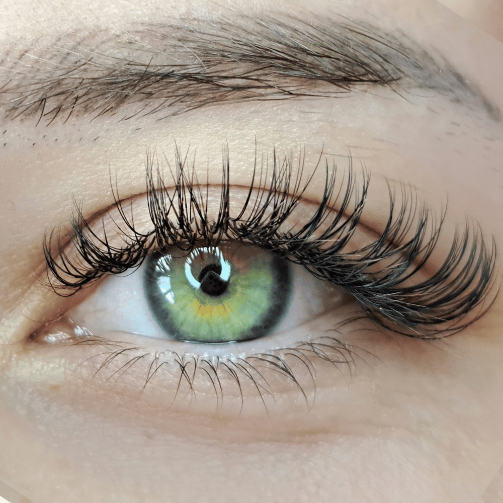 A close up of a woman's eye with Lash Tribe's 0.15 Classic Lashes | Mixed Tray | Premium Silk Lashes | Ultra Black and long lashes.