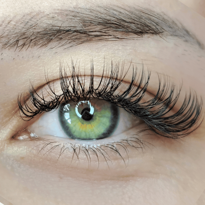 A close up of a woman's eye with Lash Tribe's 0.15 Classic Lashes | Mixed Tray | Premium Silk Lashes | Ultra Black and long lashes.