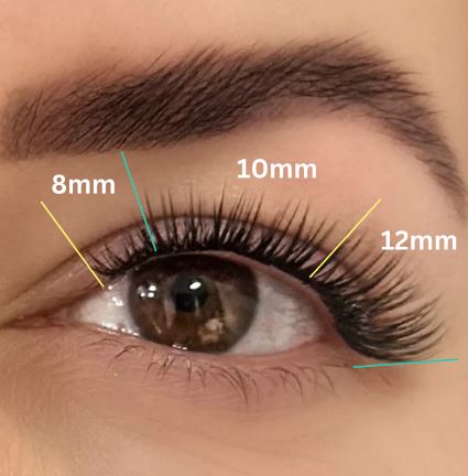 Close-up of an eye with eyelash extensions labeled with their lengths: 8mm, 10mm, and 12mm. Using the Lash Link DIY Eyelash Extension Kit from Lash Link, the extensions are applied from shortest to longest from the inner to the outer corner of the eye.