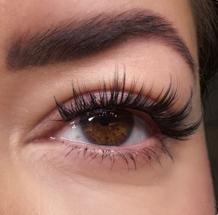 Close-up of an eye with long, curled eyelashes and well-defined eyebrows, showcasing detailed eye makeup—a perfect inspiration for anyone looking to apply eyelash extensions at home with the Lash Link DIY Eyelash Extension Kit by Lash Link.