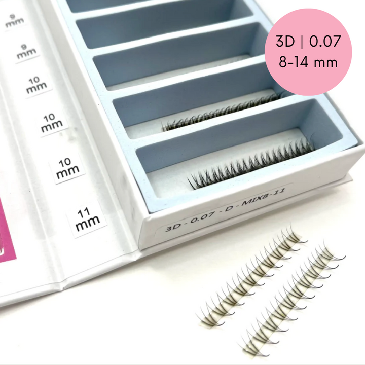 A box with a set of Speed Volume Fans | Instant Setup Promade Volume Fans Bundle by Lash Tribe eyelash extensions in it.