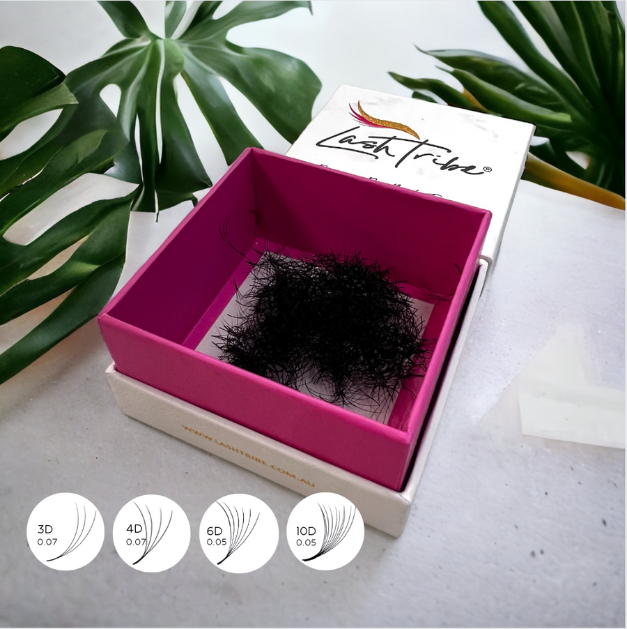 Loose Premade Volume Fans | Long Stem | Ultra Black in a pink box next to a plant by Lash Tribe.