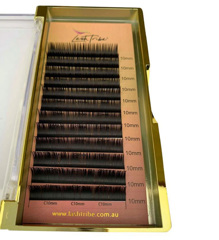 A set of 0.15 Volume Lashes in a case by Lash Tribe, reduced to clear.