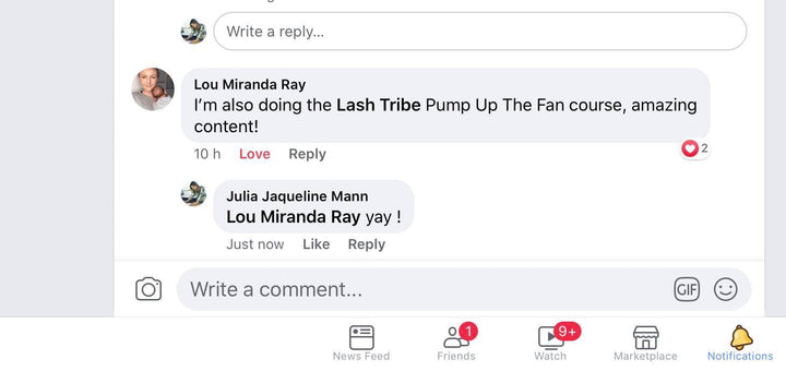 a screenshot of a conversation on Facebook from the Fan Perfection - Pump up the Volume | Online Course by Lash Tribe.