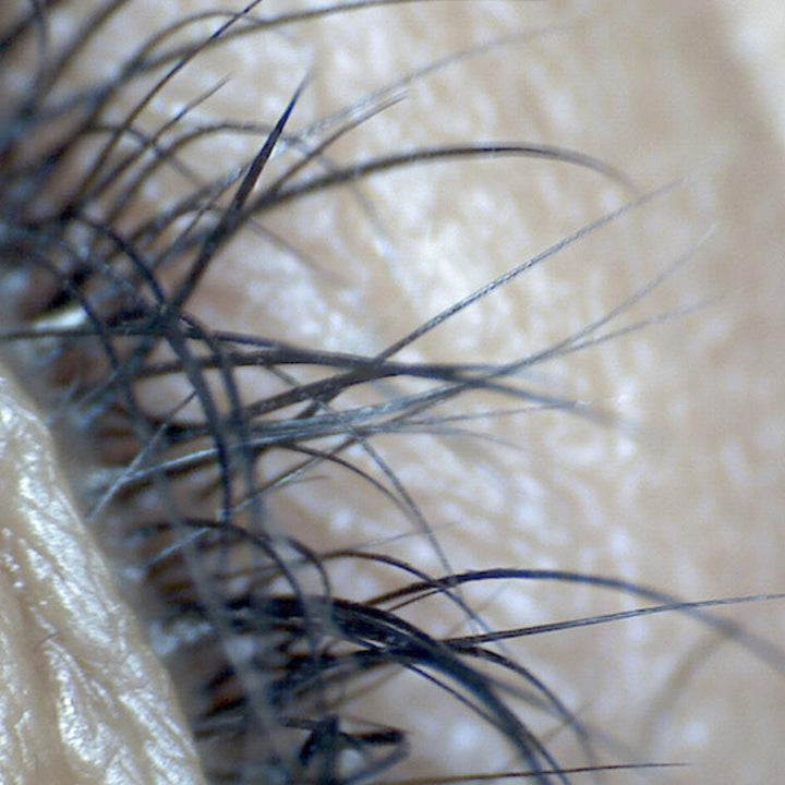 Digital Microscope-Digital Microscope-Lash Tribe