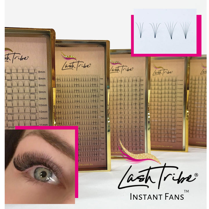 a box of 0.07 | 3D Premade Volume Fans (reduced to clear) from Lash Tribe false eyelashes and a box of eyelash extensions.