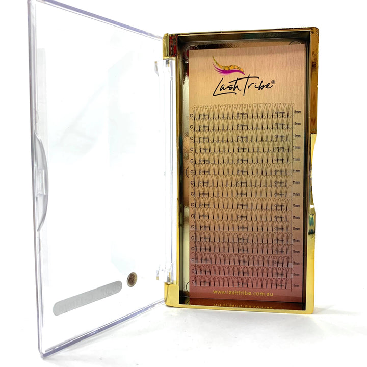 a Lash Tribe gold case with a set of 0.07 | 3D Premade Volume Fans (reduced to clear) eyelashes in it.