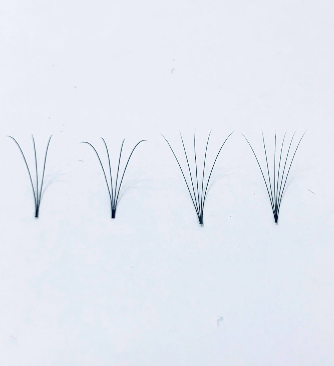 A group of Lash Tribe 0.07 | 3D Premade Volume Fans (reduced to clear) in a row on a white surface.