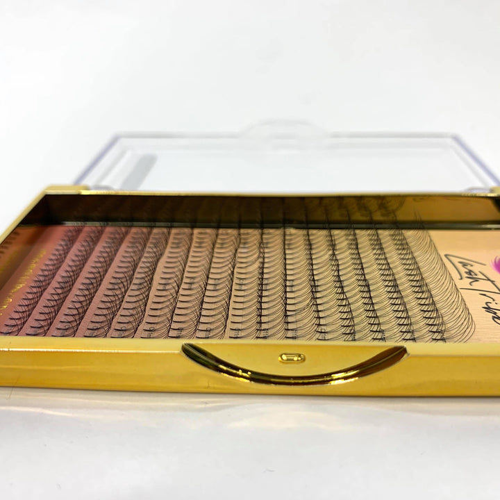 a Lash Tribe gold tray with 0.07 | 3D Premade Volume Fans (reduced to clear) false eyelashes in it.