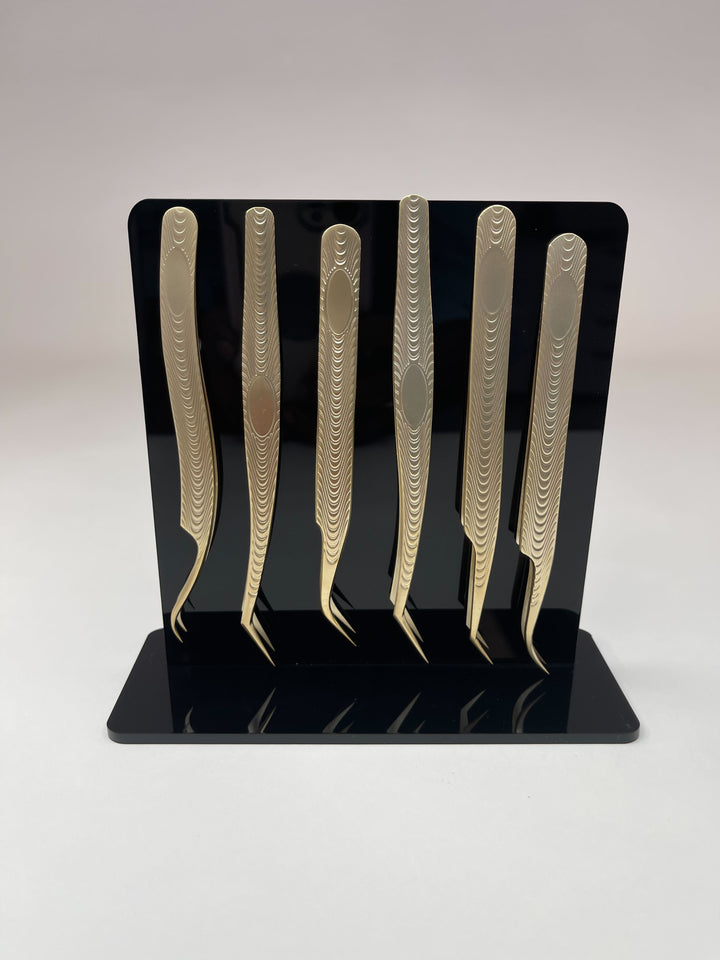 Magnetic Tweezer Stand